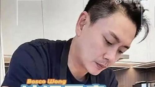 娱乐吃瓜君鹿晨辉,娱乐吃瓜界的风云人物